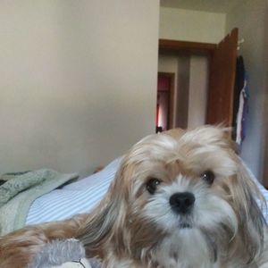 Meet your Posher, Anna